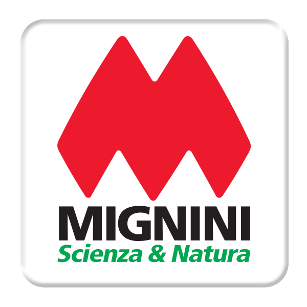 Mignini