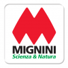 Mignini