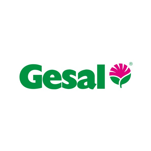 Gesal