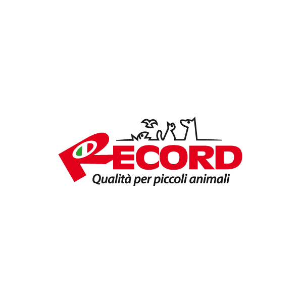 Record