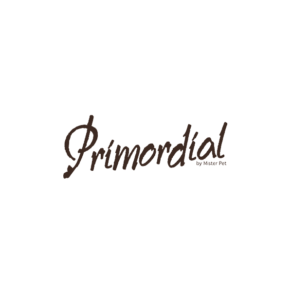 Primordial