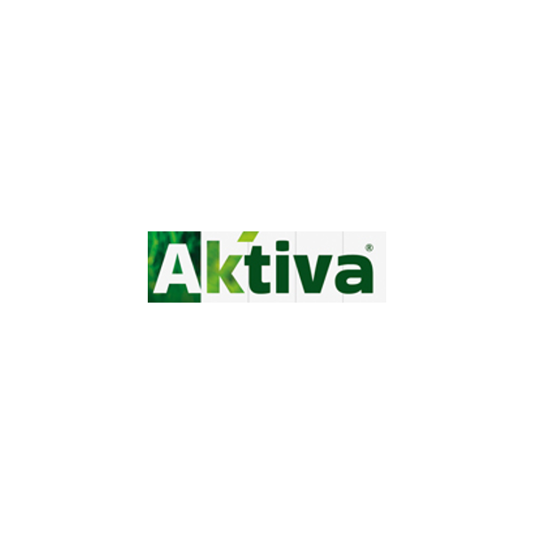 Aktiva