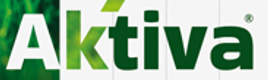 Aktiva