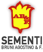 Bruni Agostino Snc